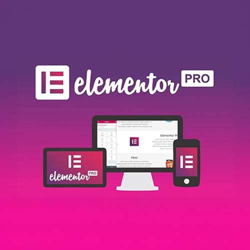 Elementor Pro